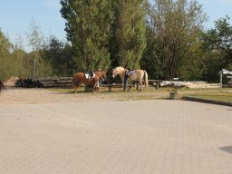 img_7397_web
